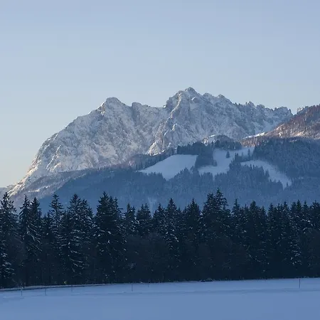 Landhaus Dax カントリーハウス