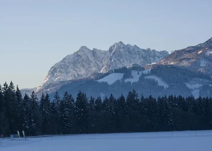 Landhaus Dax カントリーハウス